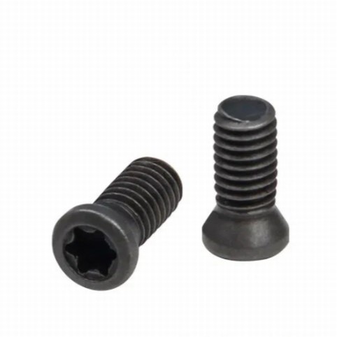 [SCREWCZTG] Screws for CZ and Tanfoglio SpidErgo Grips