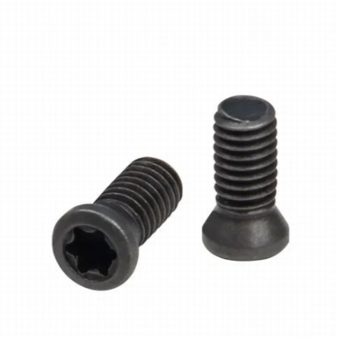 [SCREWCZTG] Screws for CZ, KMR and Tanfoglio SpidErgo Grips